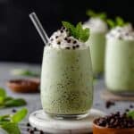 Mint Chocolate Chip Shake Recipe