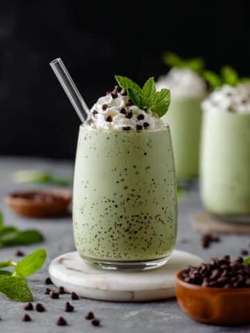 Mint Chocolate Chip Shake Recipe