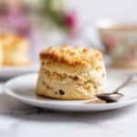 Royal Currant Scones Recipe