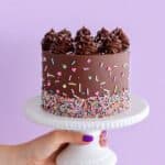 Small Batch Chocolate Cake Recipe