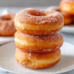 Basic Fried Donuts Recipe
