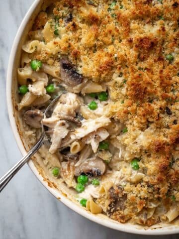 Turkey Tetrazzini Recipe