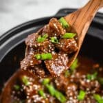 Slow Cooker Honey Garlic Steak Bites Recipe