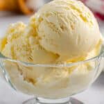 Creamy Vanilla Frozen Custard Recipe