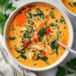 Creamy Dairy-Free Chicken and Vegetable Soup Recipe